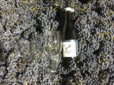 Tobin Wines - Accommodation Whitsundays 0