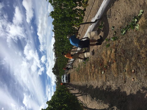Tobin Wines - Accommodation Whitsundays 1