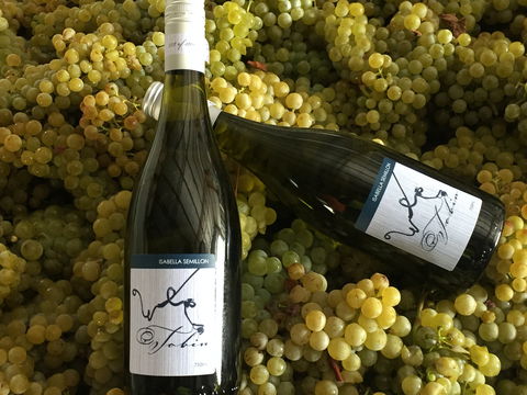 Tobin Wines - Accommodation Whitsundays 2