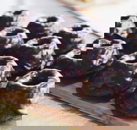 Botanica - Teneriffe - Accommodation Whitsundays