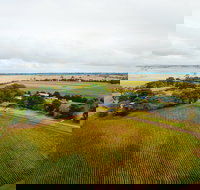 Pettavel Wines - Accommodation Whitsundays