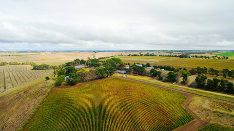 Pettavel Wines - Accommodation Whitsundays 0