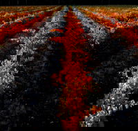 Sandhurst Ridge - Accommodation Whitsundays