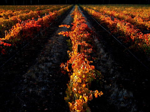 Sandhurst Ridge - Accommodation Whitsundays 0