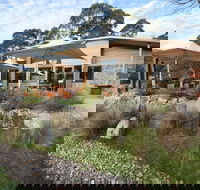 Alpine Larder Cafe - Accommodation Whitsundays