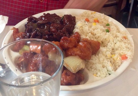 Bodhi Tree - Accommodation Whitsundays 0