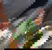 Cafe Macarthur - Accommodation Whitsundays