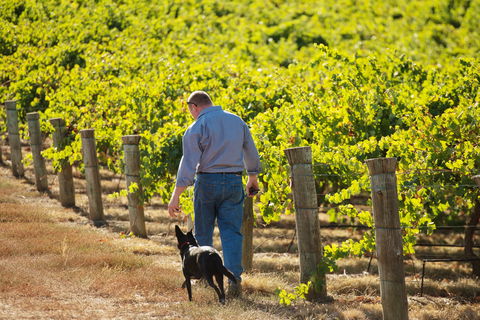 Eden Hall Wines - Accommodation Whitsundays 1