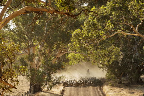 Eden Hall Wines - Accommodation Whitsundays 2