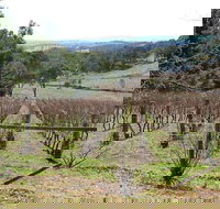 Habitat Vineyard - Accommodation Whitsundays