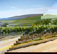 Jansz Tasmania - Accommodation Whitsundays