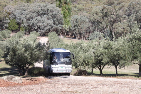 L'Oliveraie Olive Grove - Accommodation Whitsundays 2
