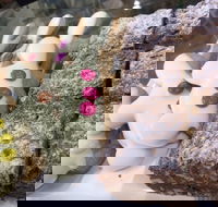 Pure Bread Bakery - Accommodation Whitsundays