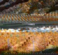 Sanguine Estate - Accommodation Whitsundays