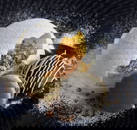 The Roundabout Restaurant - Accommodation Whitsundays