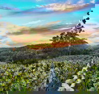 Between the Vines Cellar Door - Accommodation Whitsundays