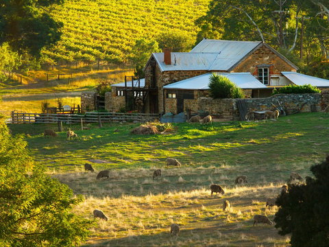 Hutton Vale Farm - Accommodation Whitsundays 1