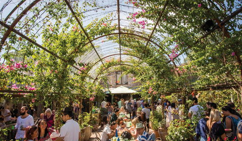 The Grounds Of Alexandria - Accommodation Whitsundays 2