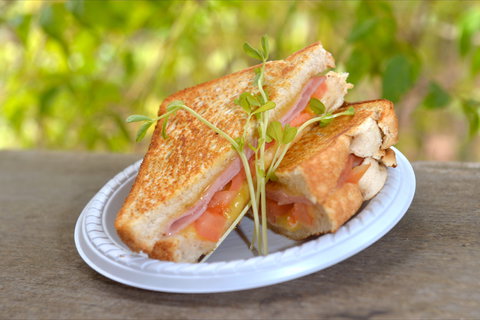 Wangi Falls Cafe - Accommodation Whitsundays 2