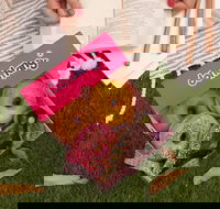 Donut King - Springwood - Accommodation Whitsundays