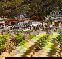 False Cape Wines Cellar Door - Accommodation Whitsundays