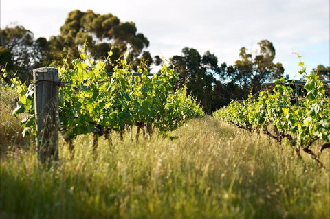 Happs Winery And Pottery - Accommodation Whitsundays 0