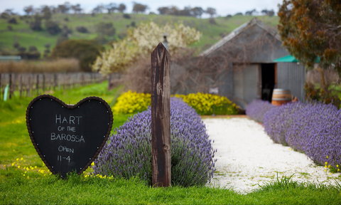 Hart Of The Barossa - Accommodation Whitsundays 0