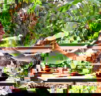 Jaques Coffee Plantation - Accommodation Whitsundays