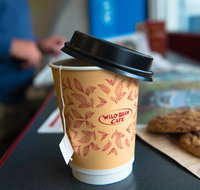 Wild Bean Cafe - Parramatta - Accommodation Whitsundays