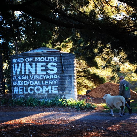 Word Of Mouth Wines - Accommodation Whitsundays 1