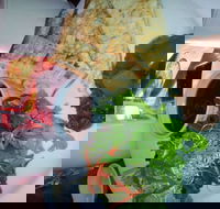 Bistro on Cinders - Accommodation Whitsundays