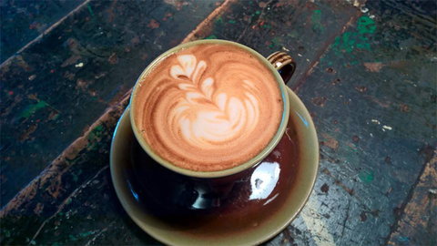 Fox & Rabbit Coffee Co. - Accommodation Whitsundays 0