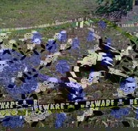 Hillbilly Coffee - Accommodation Whitsundays