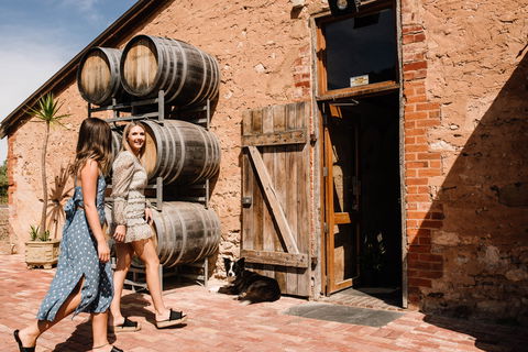 Shingleback Wine - Accommodation Whitsundays 1