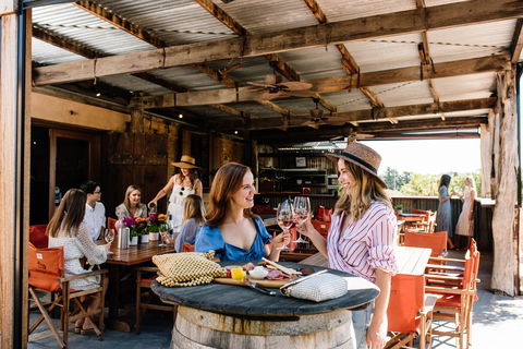 Shingleback Wine - Accommodation Whitsundays 2