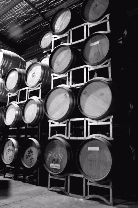 Tertini Wines - Accommodation Whitsundays 1