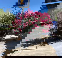 Alpine Gate Cafe - Accommodation Whitsundays