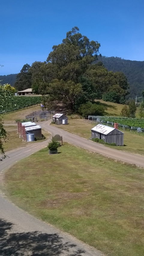 Hartzview Vineyard Cafe - Accommodation Whitsundays 2