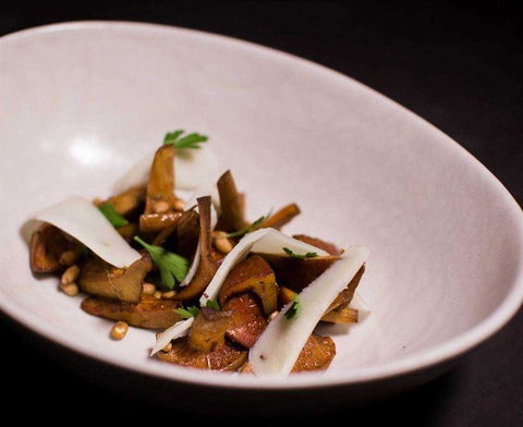 Maestro - Accommodation Whitsundays 10