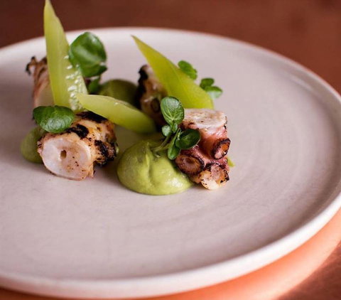 Maestro - Accommodation Whitsundays 16