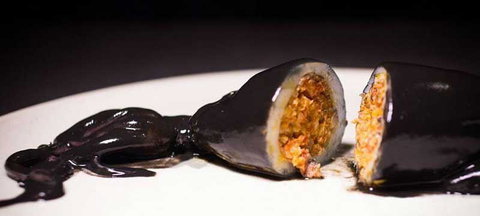 Maestro - Accommodation Whitsundays 1