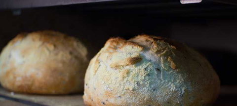 Maestro - Accommodation Whitsundays 5