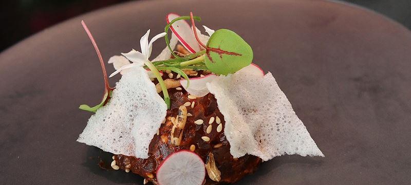 Coomoora VIC Accommodation Whitsundays