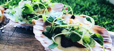 Boardwalk Bistro On Hastings - Accommodation Whitsundays 1