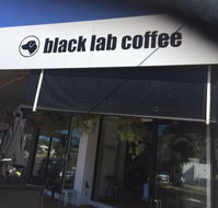 Black Lab Coffee - Accommodation Whitsundays