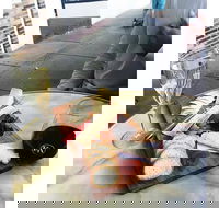 Edward Abbott Food  Wine - Accommodation Whitsundays