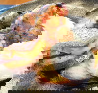 The Peak - Accommodation Whitsundays