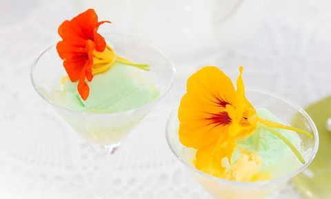 Ducks In The Field - Accommodation Whitsundays 3