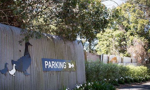 Ducks In The Field - Accommodation Whitsundays 4