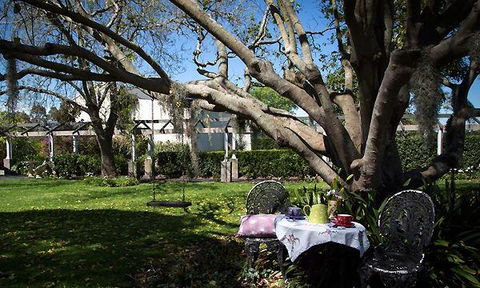 Ducks In The Field - Accommodation Whitsundays 6